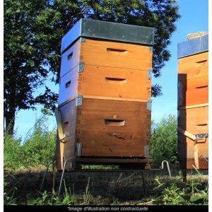 🐝  Ruche Peuplée (avec abeilles) - dès 259 € | Jura Ain Saône