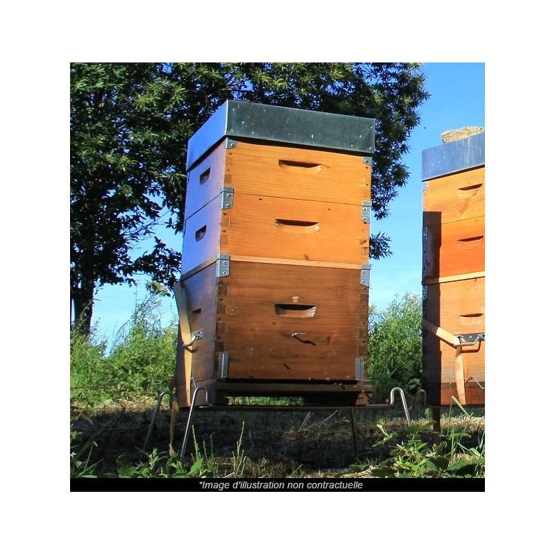 🐝  Ruche Peuplée (avec abeilles) - dès 259 € | Jura Ain Saône