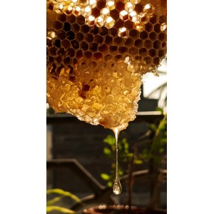 🐝 Essaim d'Abeilles Dadant -  dès 139 € | Jura Ain Saône