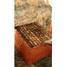 🐝  Ruche Peuplée (avec abeilles) - dès 259 € | Jura Ain Saône